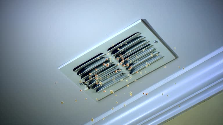 Best Home Air Vent Cleaning  in Nesquehoning, PA