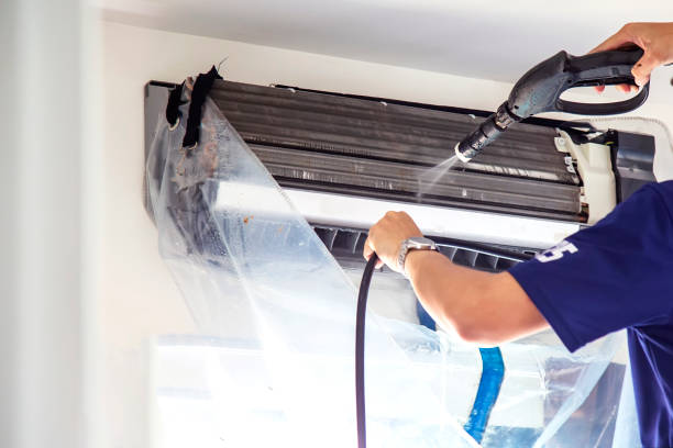 Best Air Duct Mold Removal  in Nesquehoning, PA