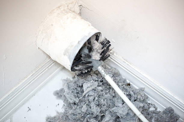 Air Duct Mold Removal in Nesquehoning, PA
